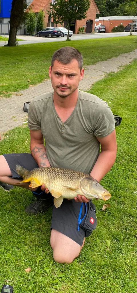 Karpfen