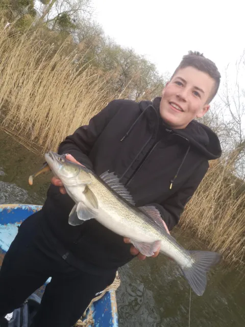 Zander