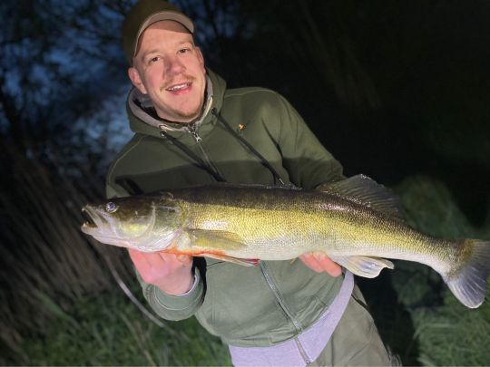 Zander