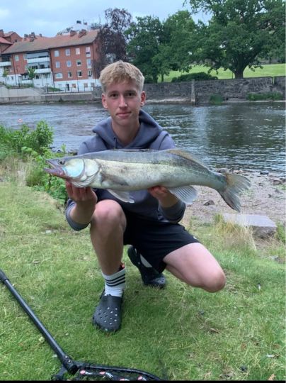 Zander