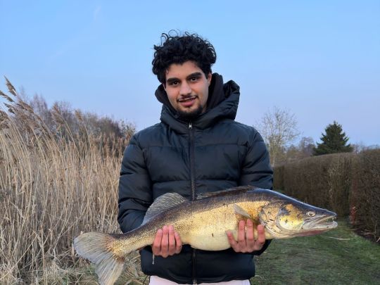 Zander