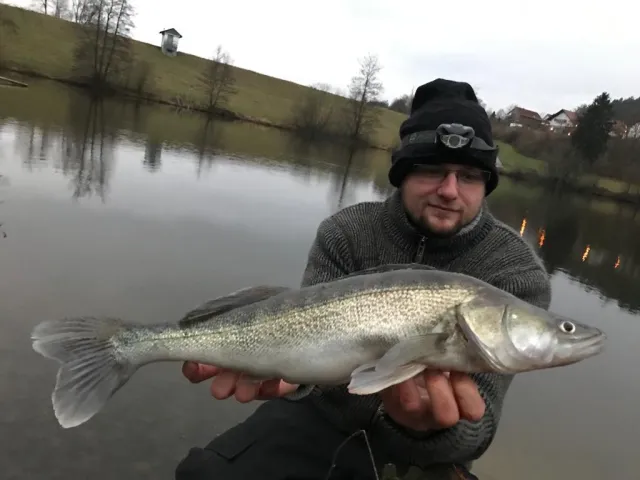 Zander