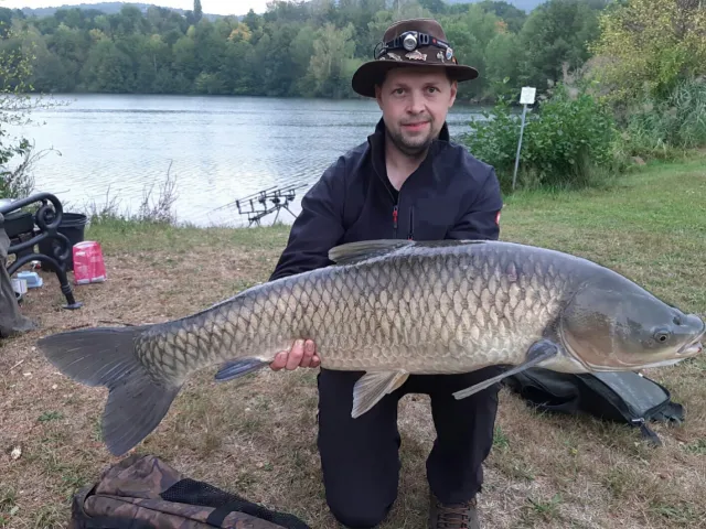 Graskarpfen