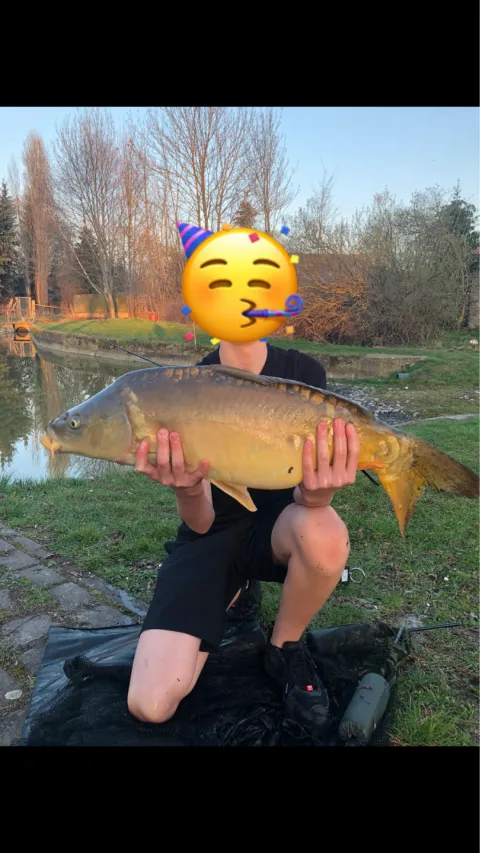 Karpfen