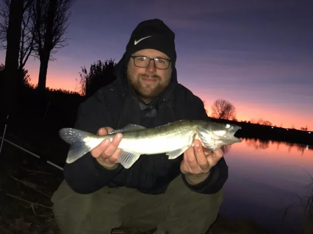 Zander