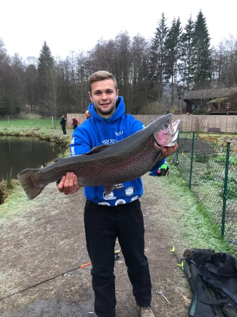 Regenbogenforelle