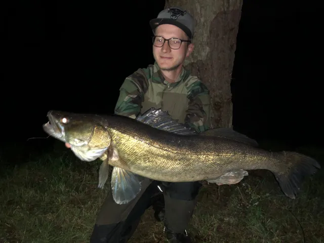 Zander