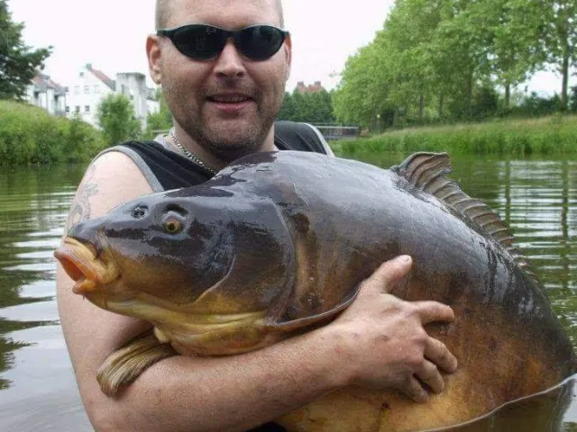 Karpfen
