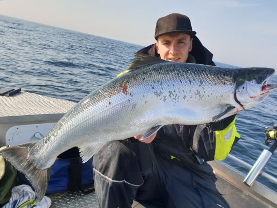 Lachs