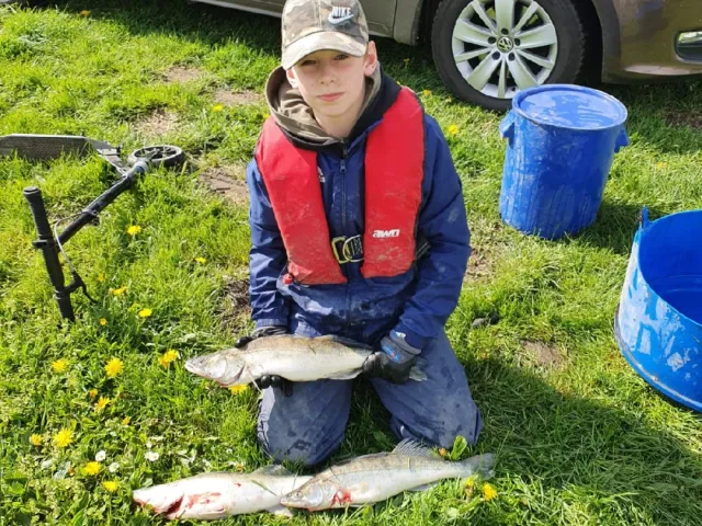 Zander