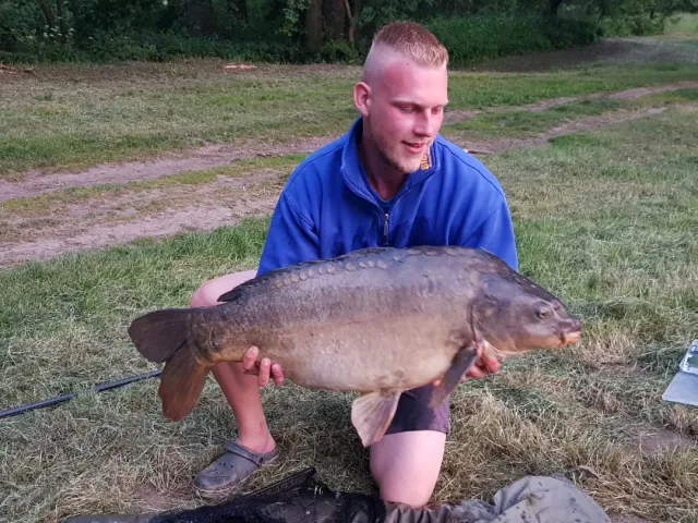 Karpfen