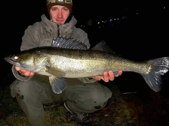 Zander