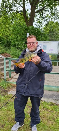 Flussbarsch
