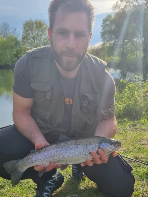 Regenbogenforelle
