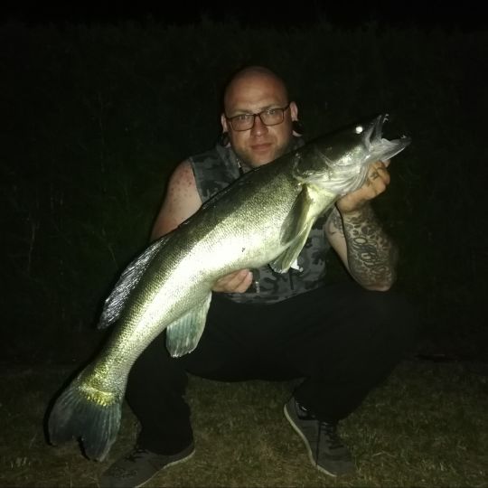 Zander