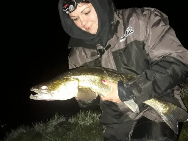 Zander