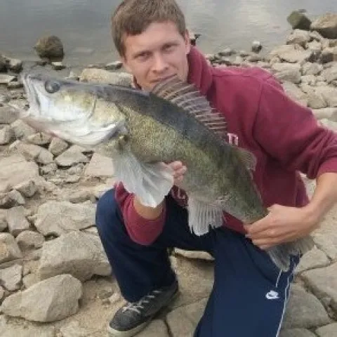 Zander