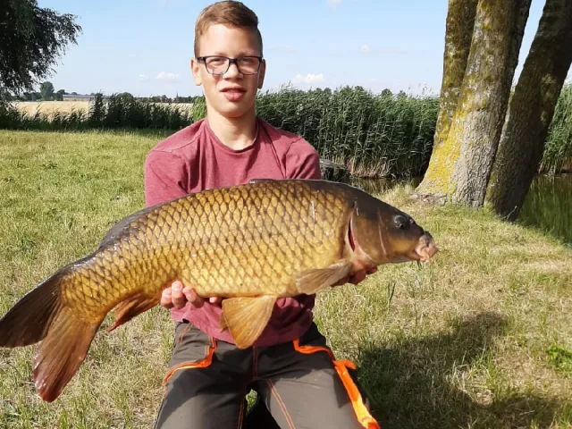 Karpfen