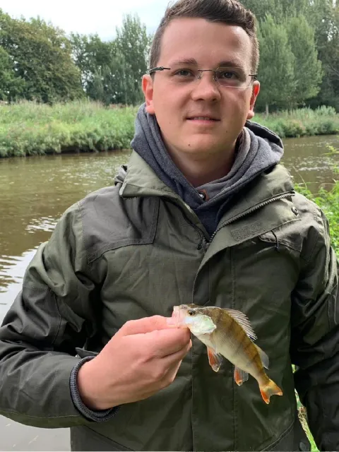 Flussbarsch