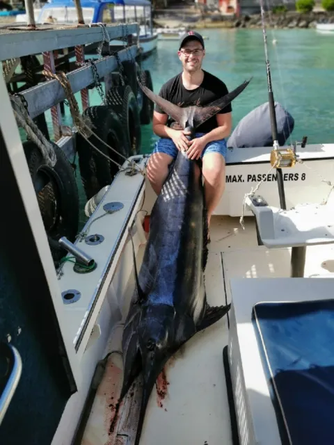 Marlin