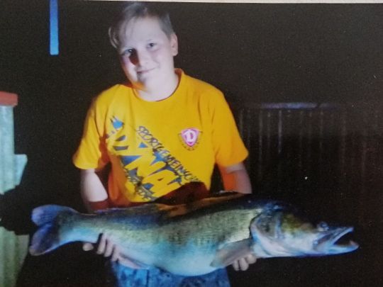 Zander