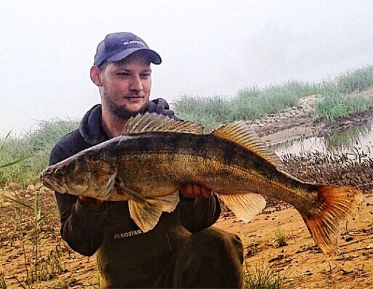 Zander