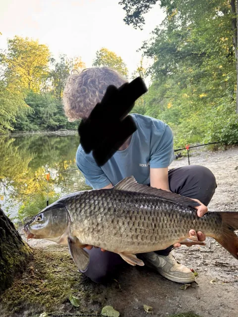 Karpfen