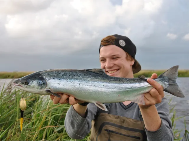 Lachs