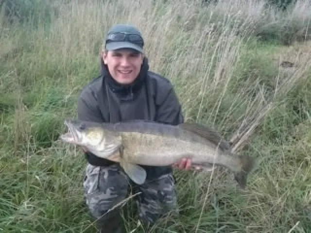 Zander