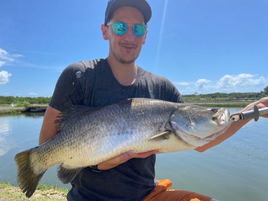 Barramundi