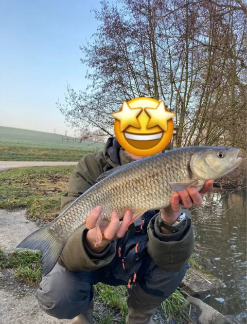Döbel