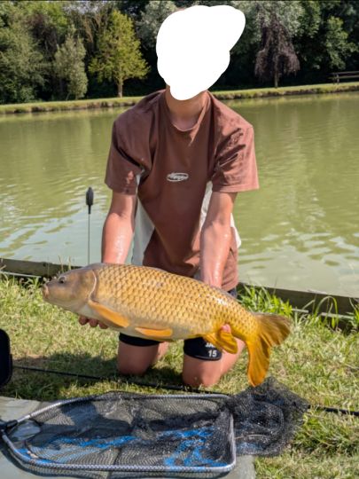 Karpfen