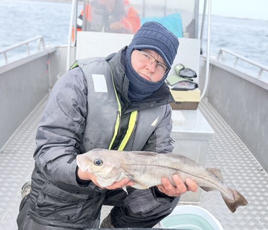 Schellfisch