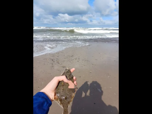 Flunder