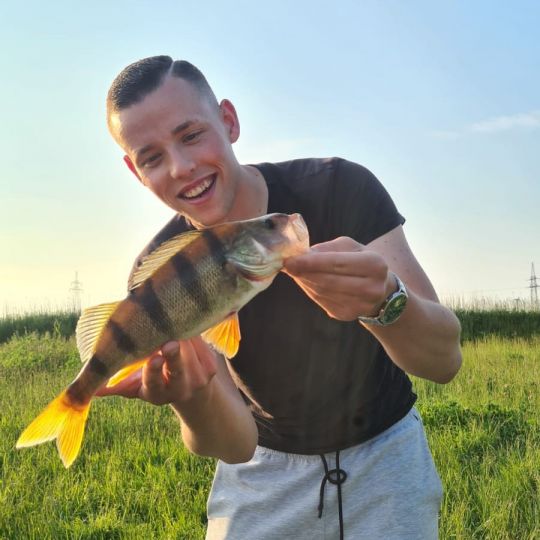 Flussbarsch
