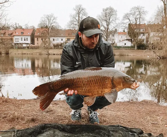 Karpfen