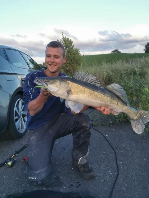 Zander