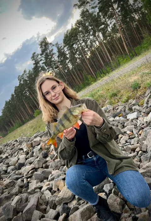 Flussbarsch