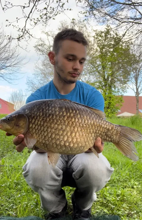 Giebel
