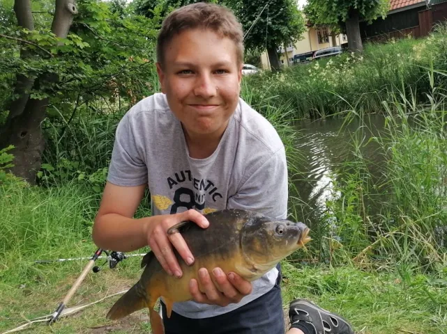 Karpfen