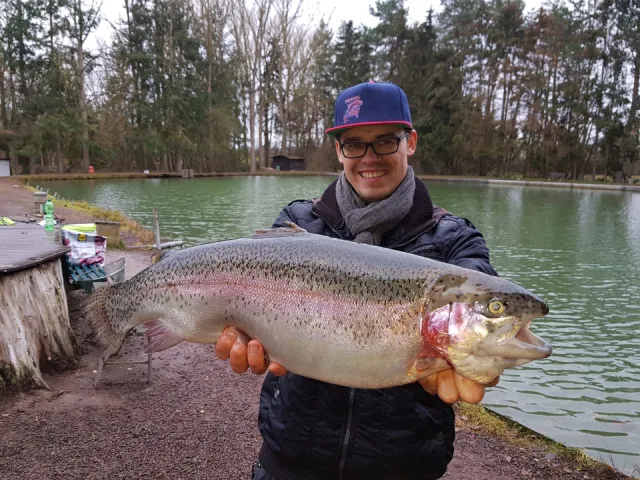 Regenbogenforelle