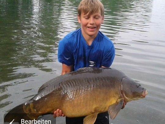 Karpfen