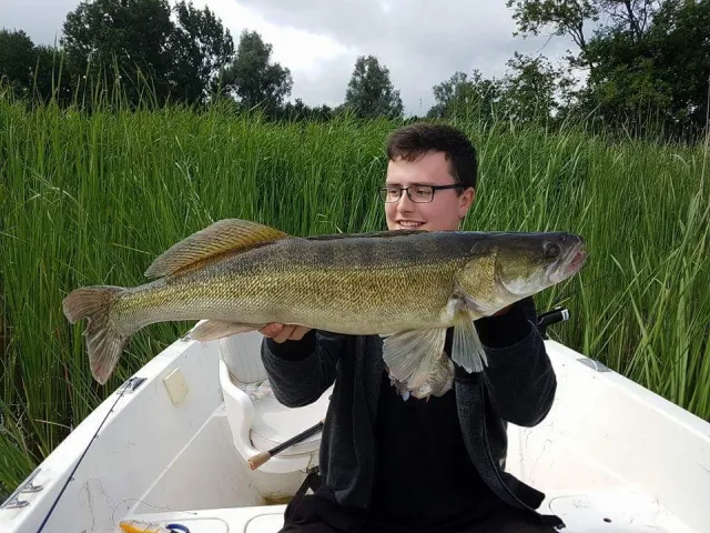 Zander