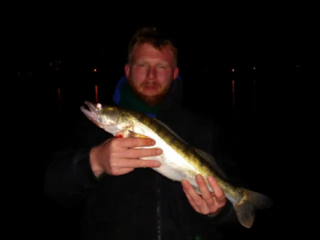 Zander