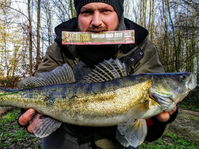 Zander