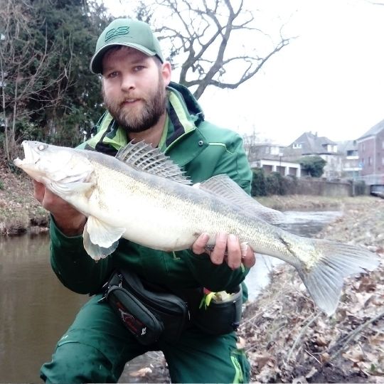 Zander