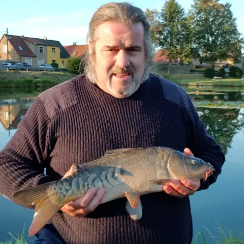 Karpfen