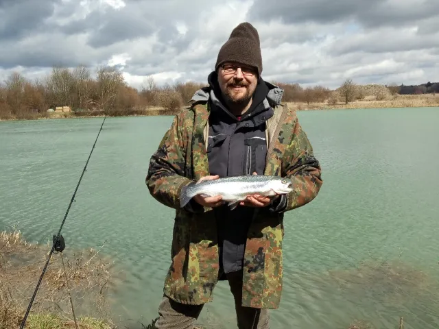 Regenbogenforelle