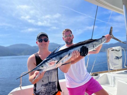 Marlin