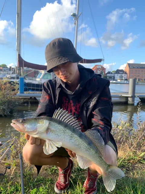 Zander